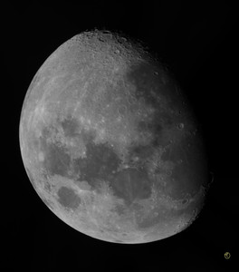 IMG_9100_stitch.jpg
