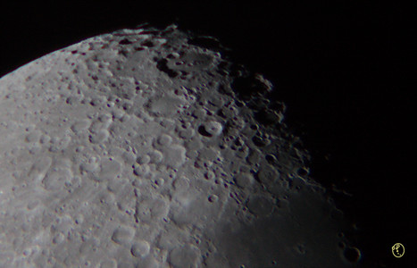 IMG_1963_cropped.jpg
