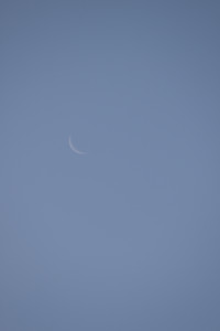 IMG_7751.jpg